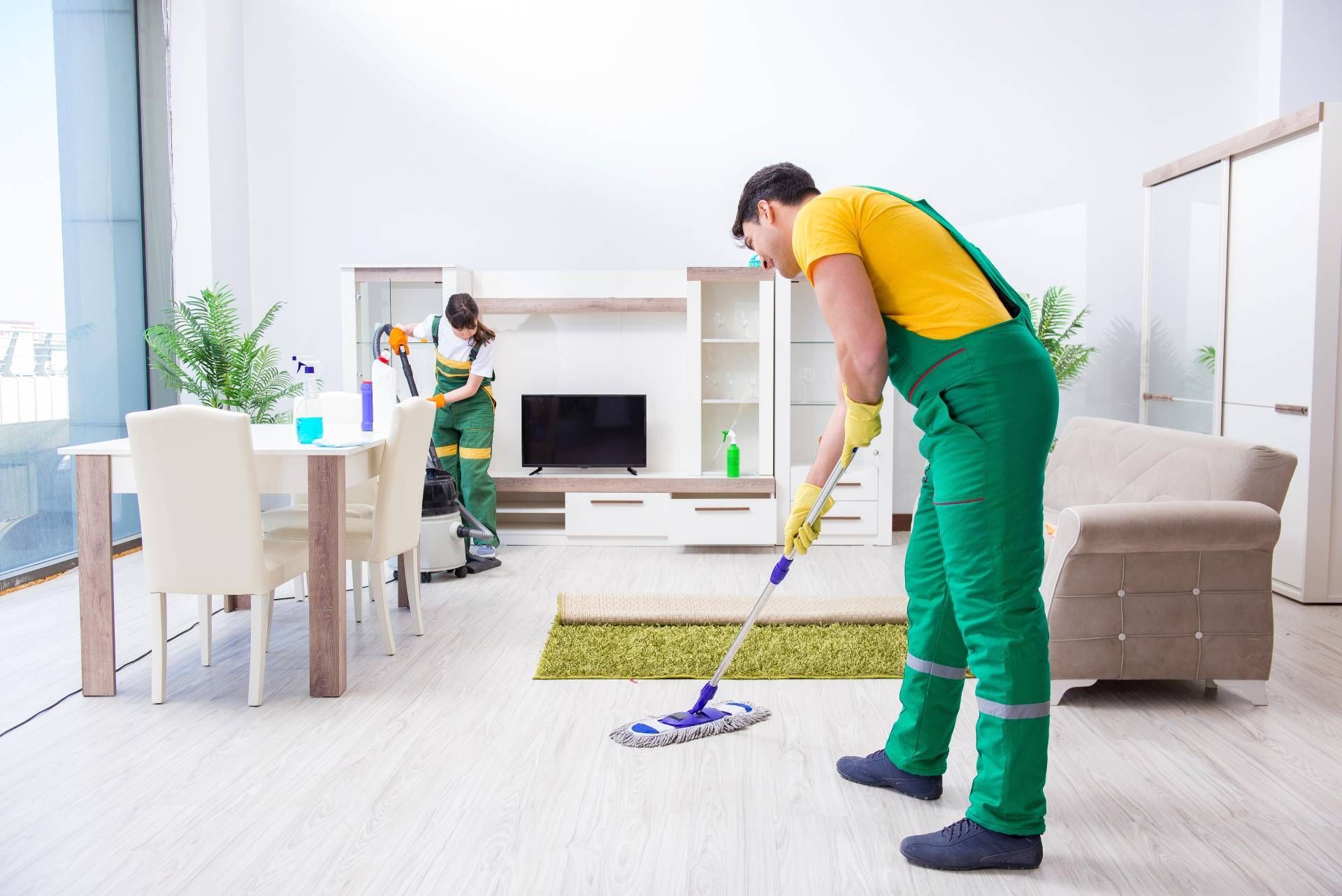 Reinigung Wohnzimmer