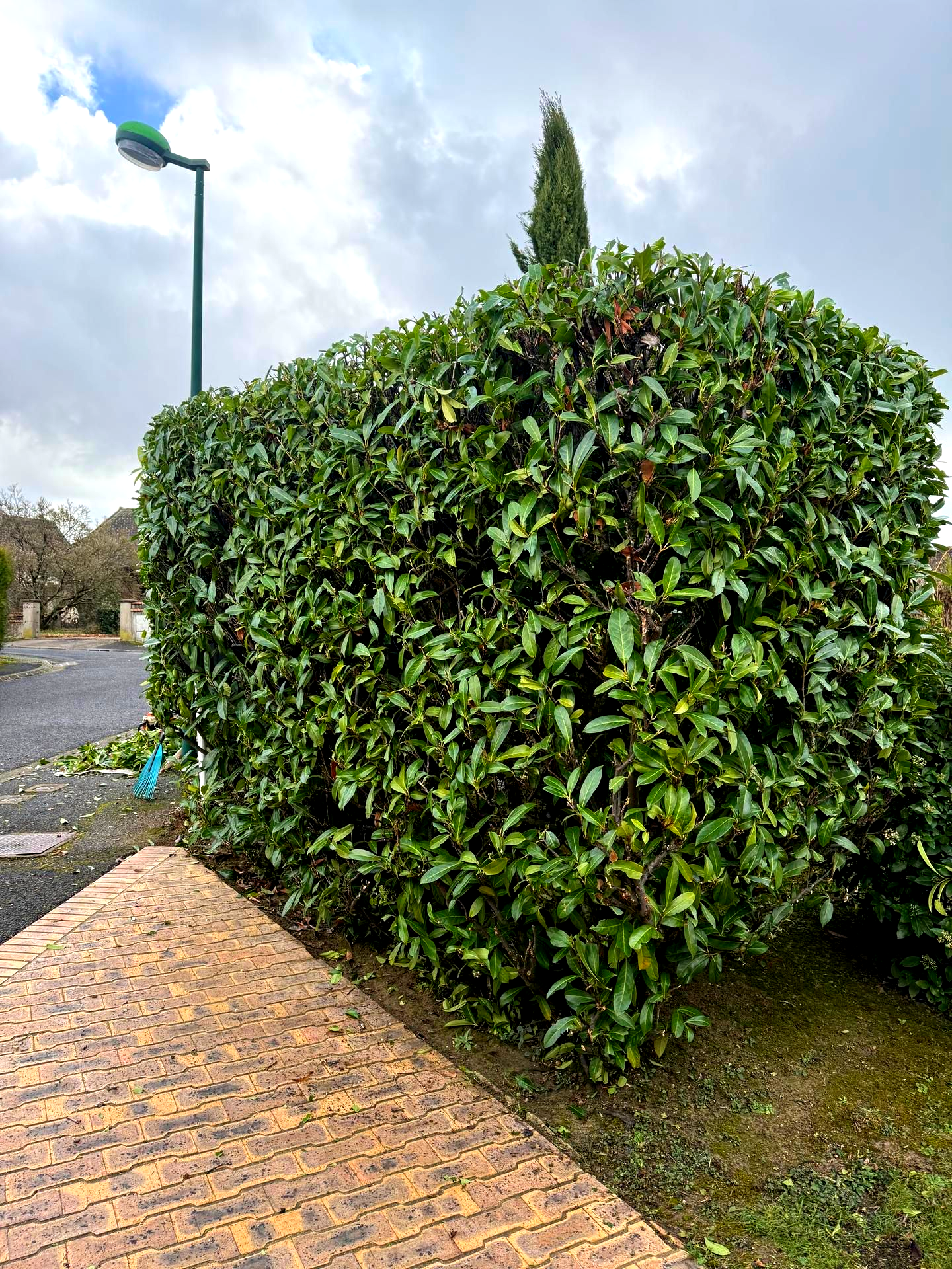 Un grand buisson vert taillé près d'un chemin de briques et d'un lampadaire sous un ciel couvert.