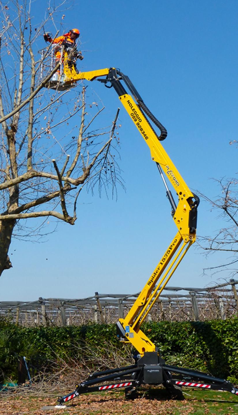 Une nacelle élévatrice jaune avec un ouvrier élaguant un arbre. Un ciel bleu vif en arrière-plan.