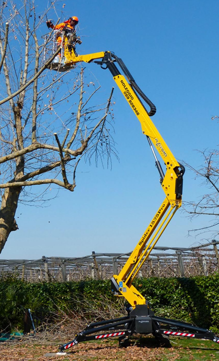 Un ascenseur jaune supporte un arboriste en train d'élaguer un arbre contre un ciel bleu.