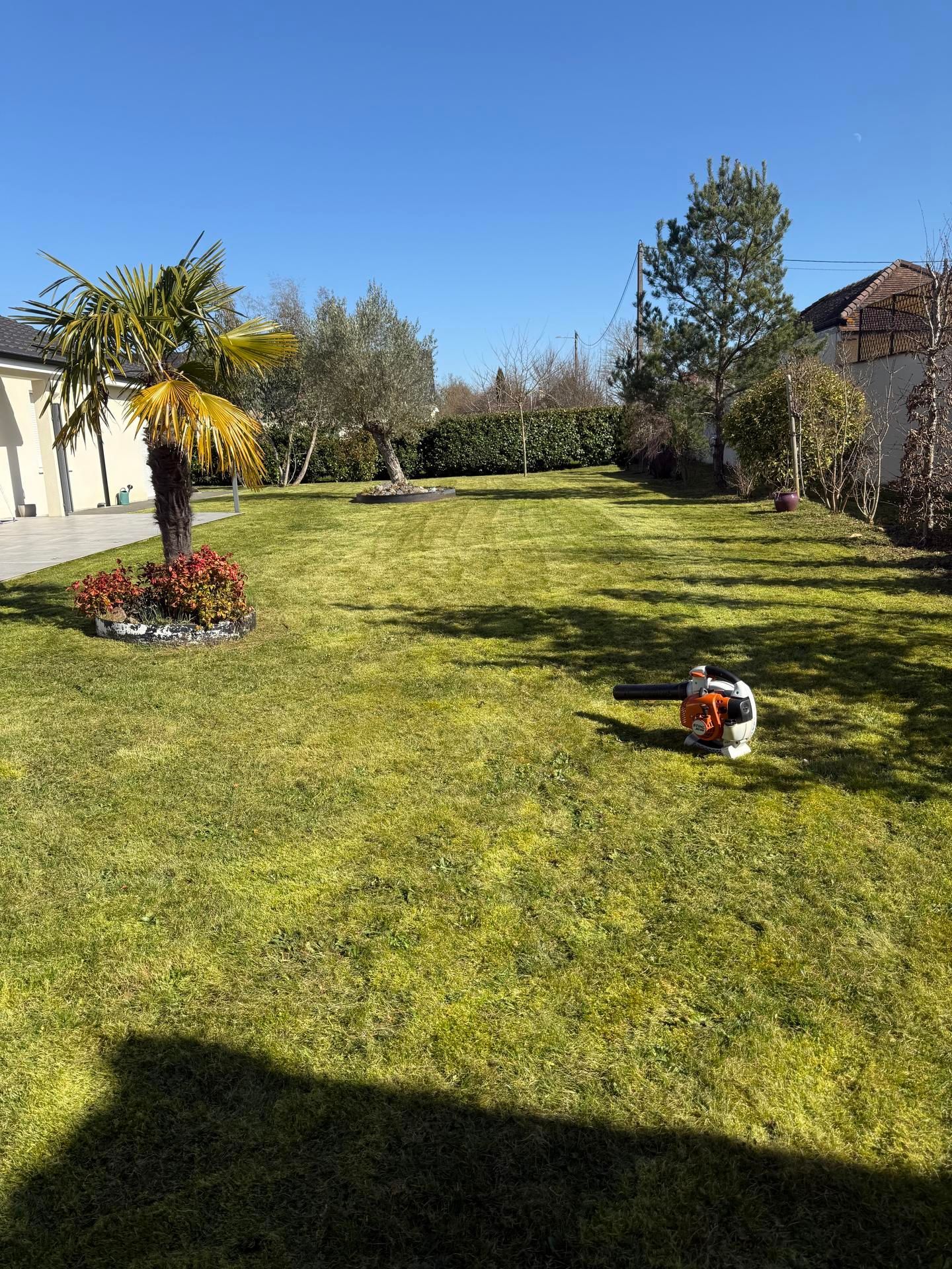 Une cour arrière herbeuse avec un souffleur de feuilles, des arbres et un ciel bleu clair.