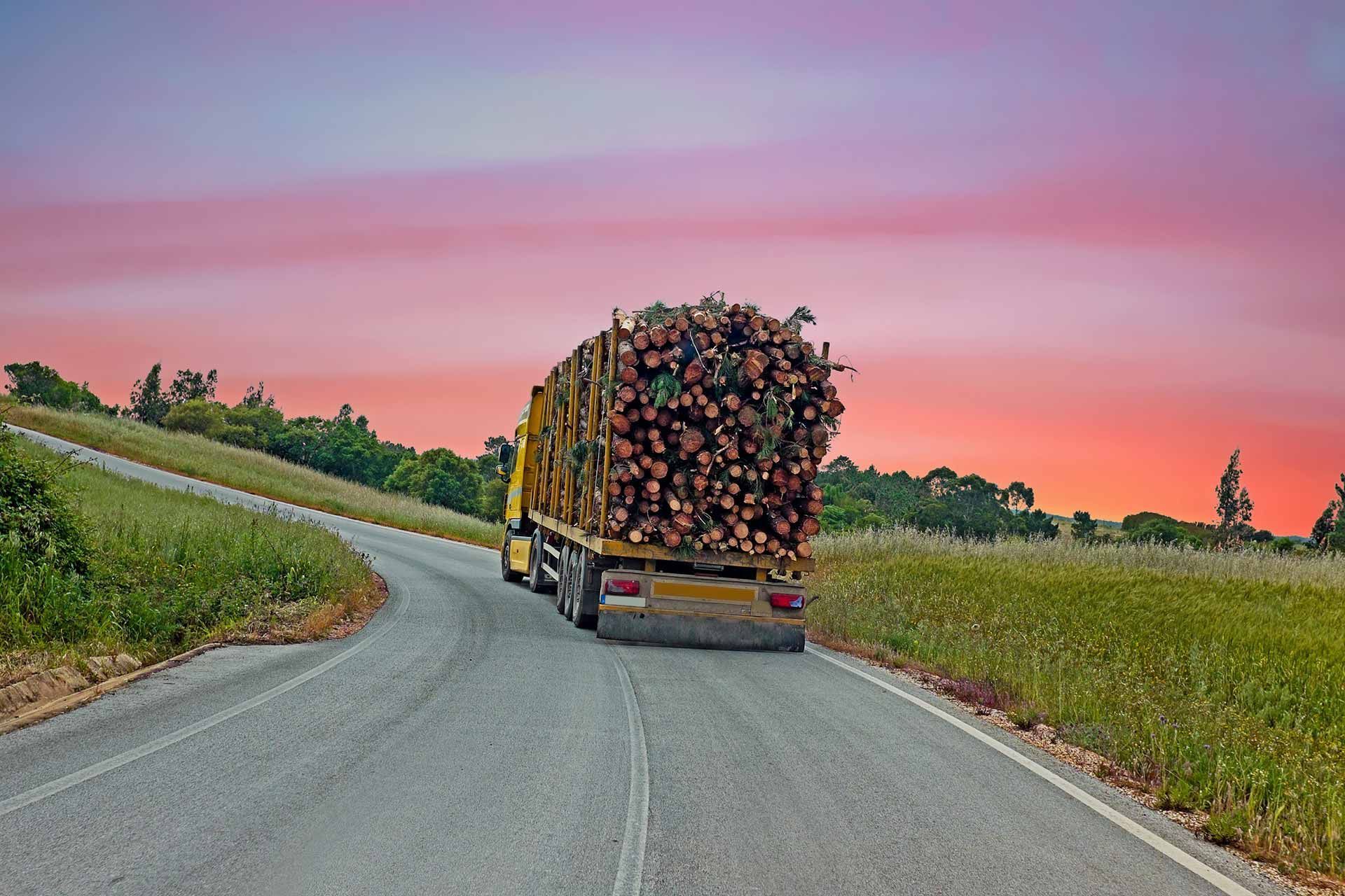 Un camión cargado de troncos circula por una sinuosa carretera rural al atardecer.
