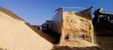Camión descargando arena beige en un sitio industrial al aire libre, con una gran pila de arena cerca.