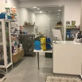 Una farmacia con un mostrador y estantes llenos de muchos productos.