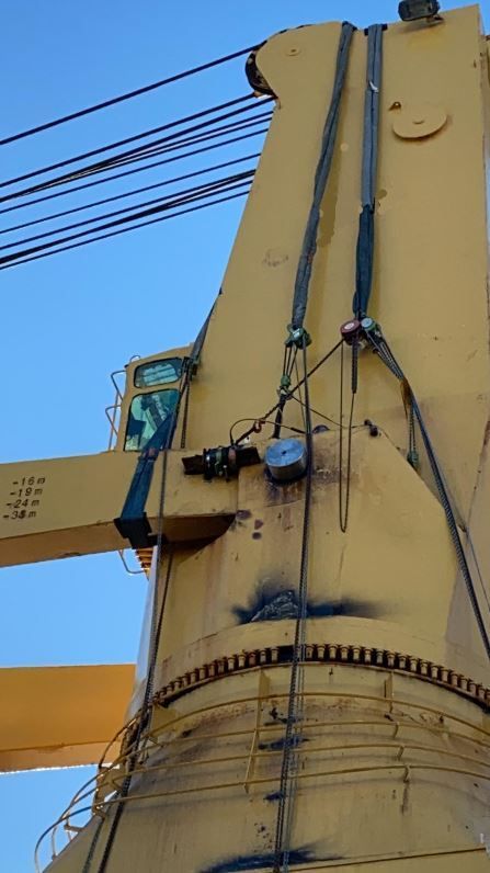 Eine Nahaufnahme eines gelben Kranichs mit einem blauen Himmel im Hintergrund.