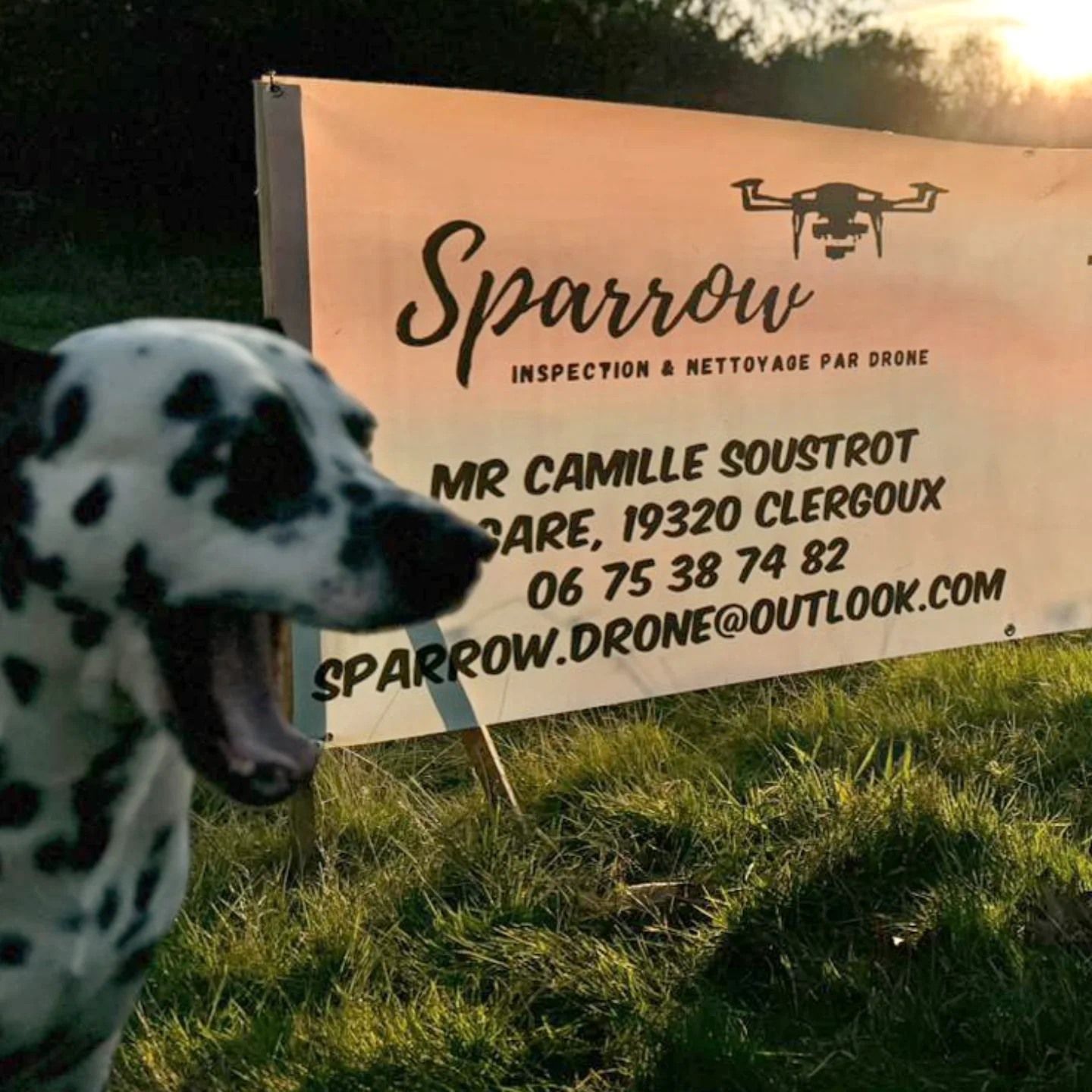 Le chien de l'entreprise et leur banderole