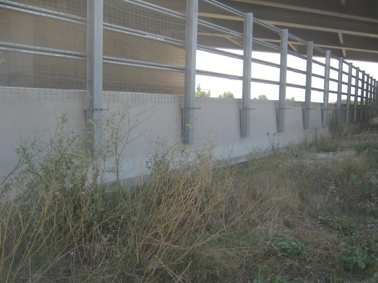 Graffiti sur petit muret en béton après