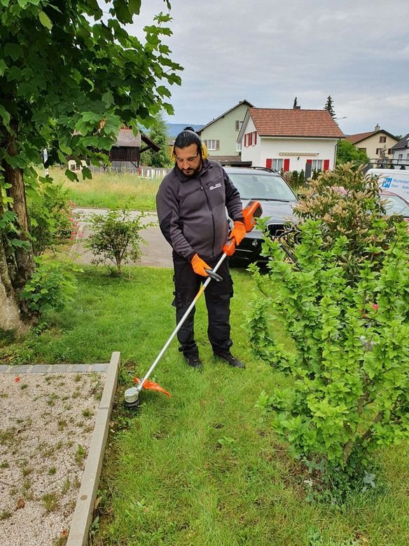 Zwei Männer laden Kisten in einen LKW.