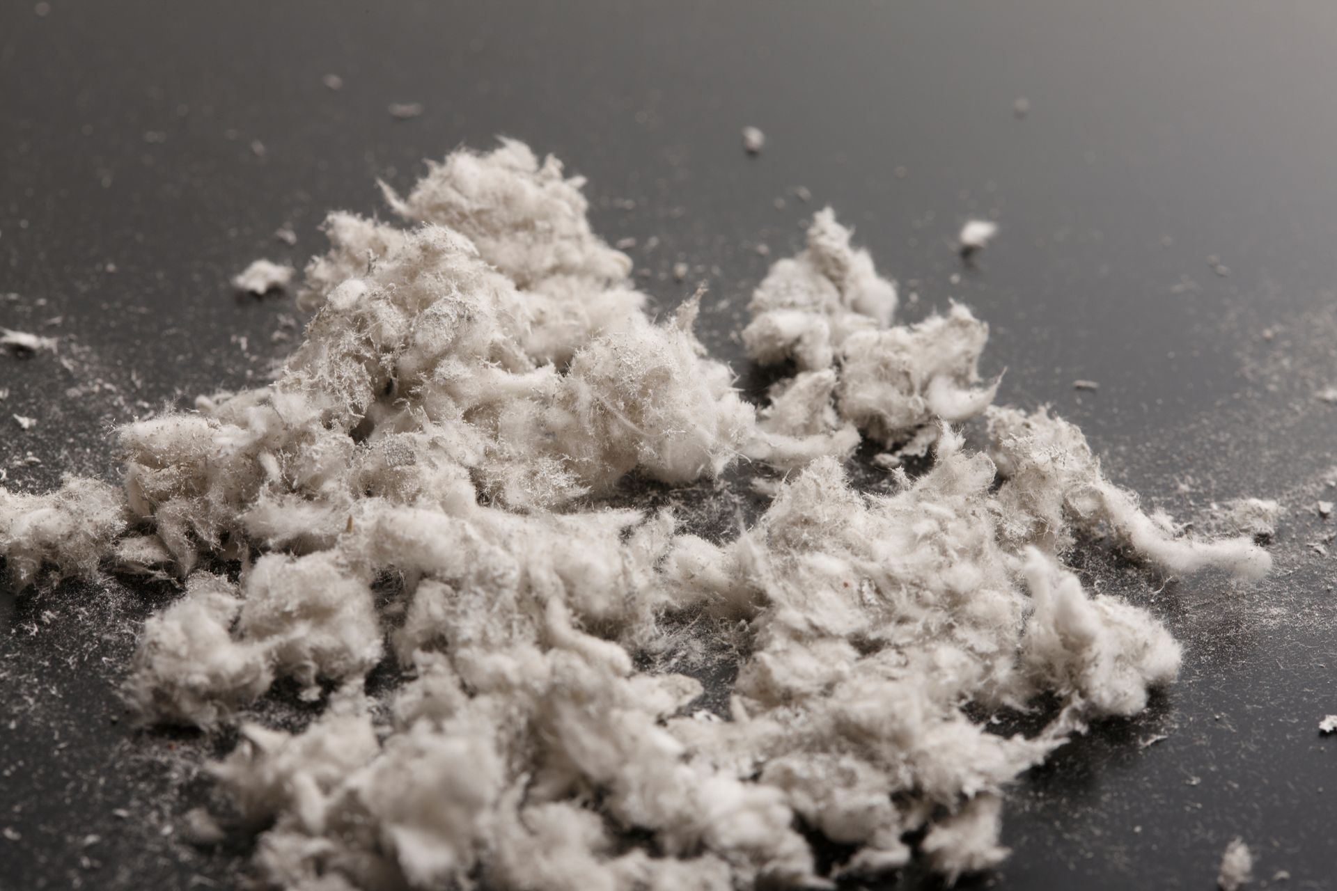 Gros plan sur un tas de matière fibreuse, grise et poussiéreuse sur une surface sombre.