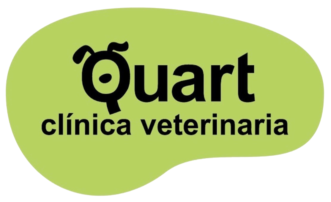 Clínica veterinaria Quart