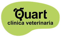 Clínica veterinaria Quart