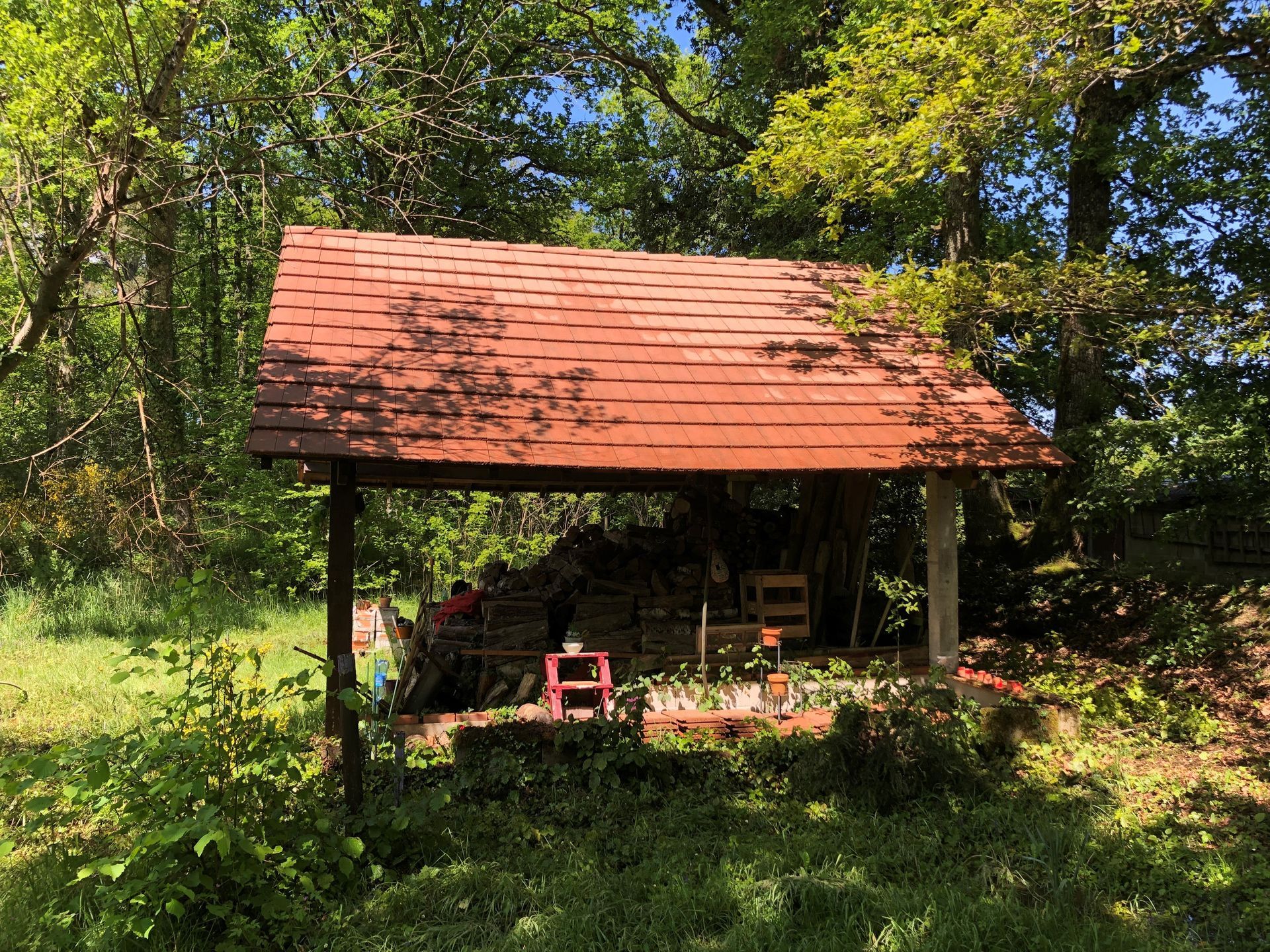 Cabanon dans un jardin avant nettoyage