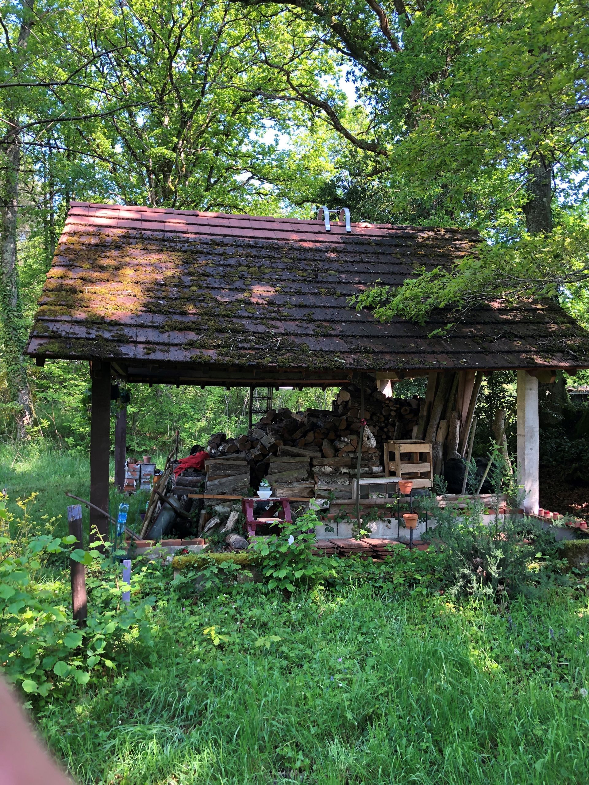 Cabanon dans un jardin après nettoyage