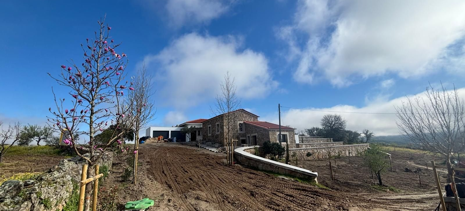 Colline rurale avec une maison, un chemin de terre, des arbres dénudés et un ciel bleu parsemé de nuages