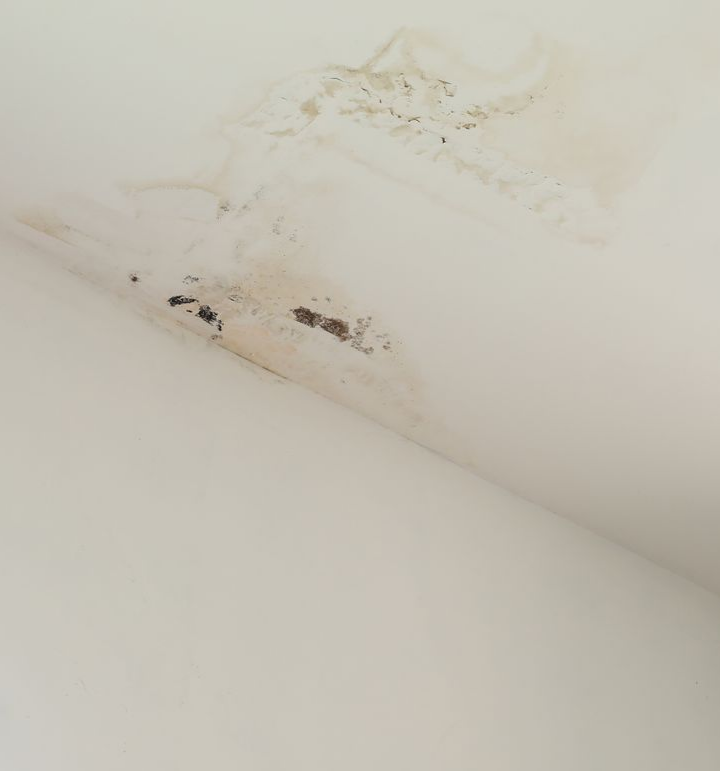 Plafond endommagé par l'eau, présentant des taches brunes.