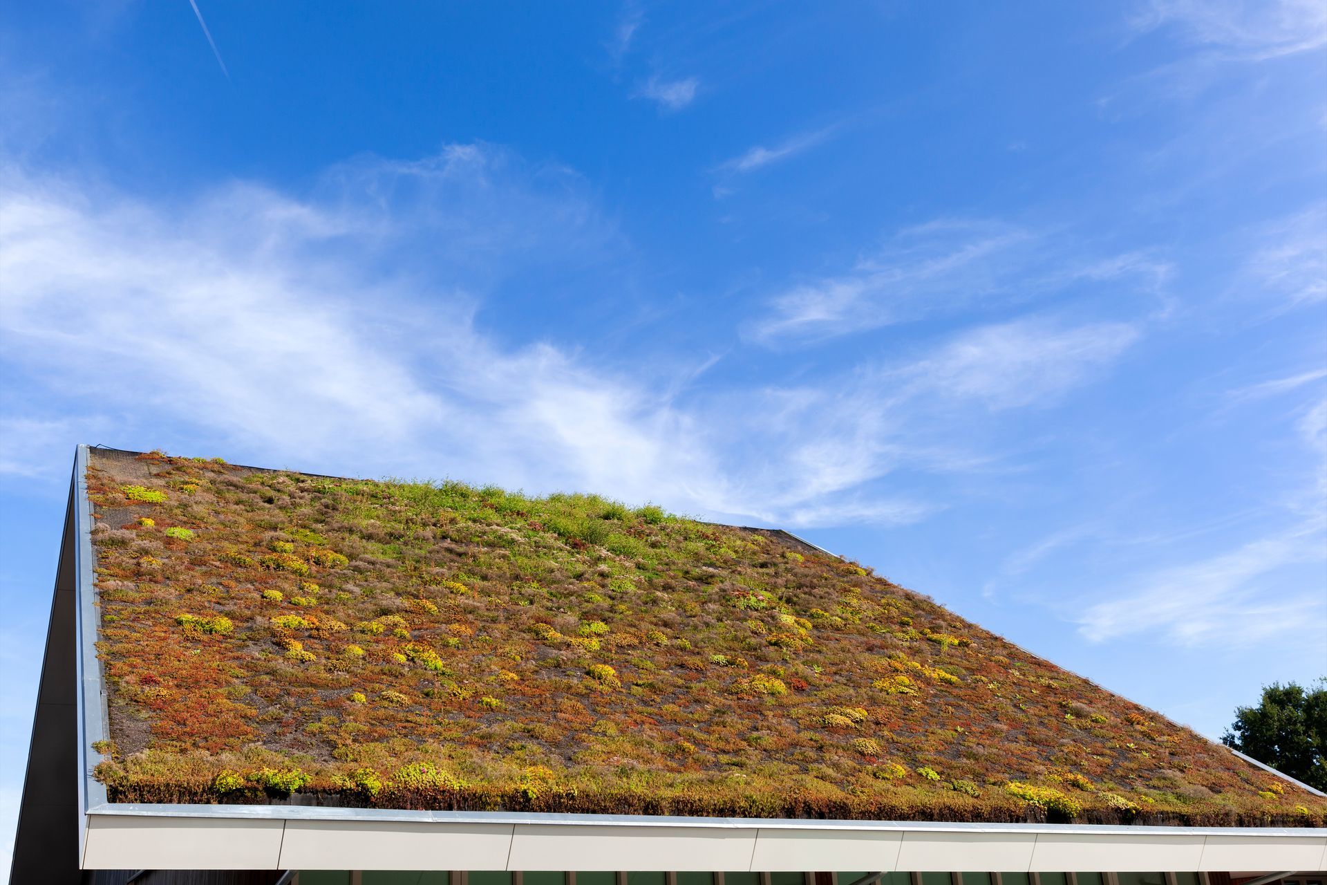 Toit végétalisé sur un bâtiment se détachant sur un ciel bleu parsemé de nuages ​​vaporeux.