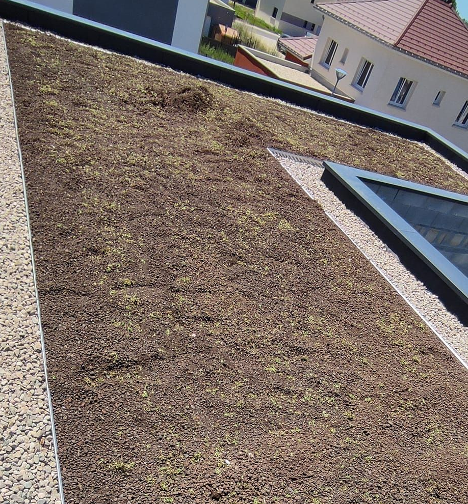 Toiture végétalisée sur une maison