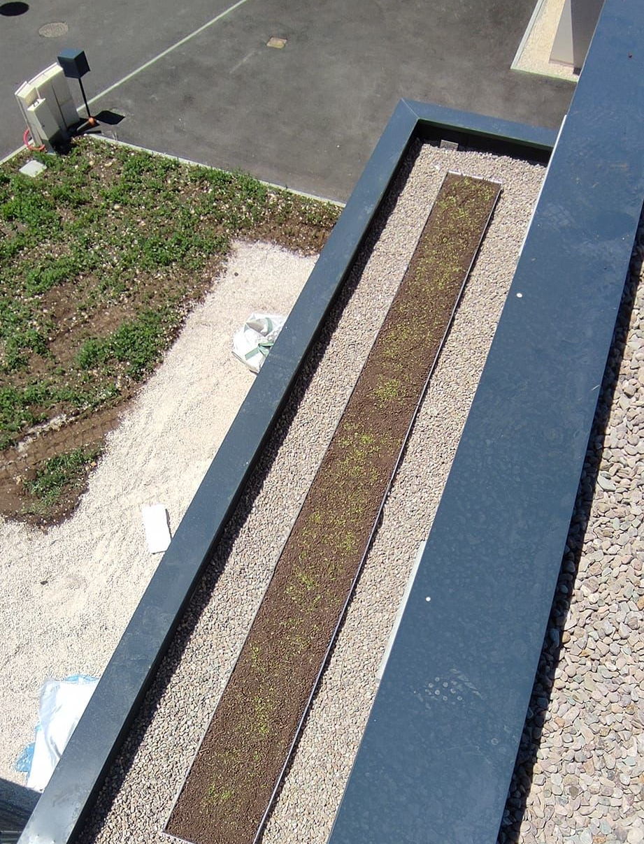 Un couloir végétalisé sur un toit plat