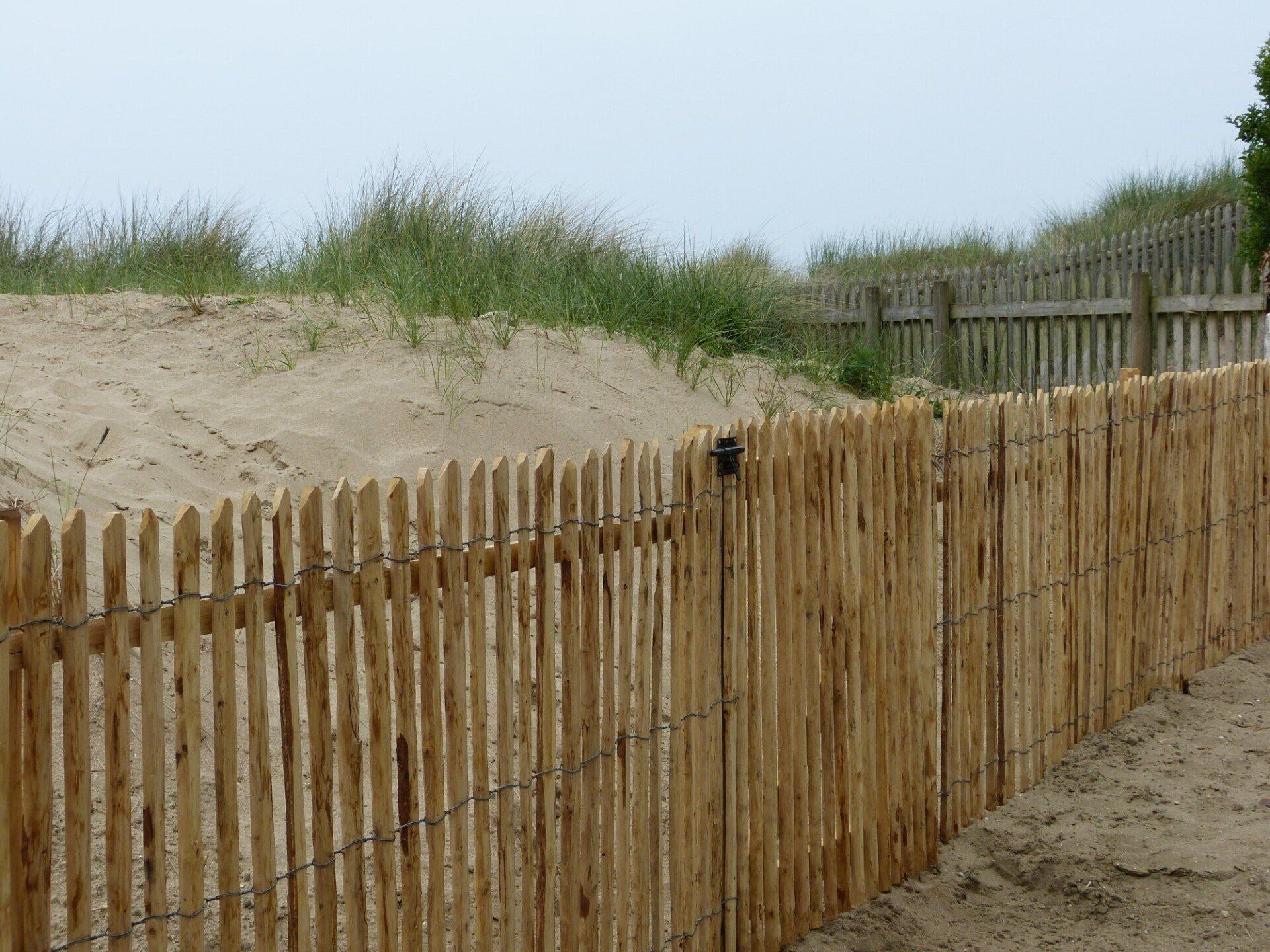 Palissade en piquet de bois