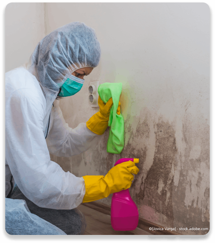 Mitarbeiter während Schimmelentfernung