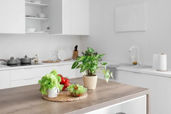 Cocina blanca moderna con una isla de madera que exhibe productos y una planta en maceta.