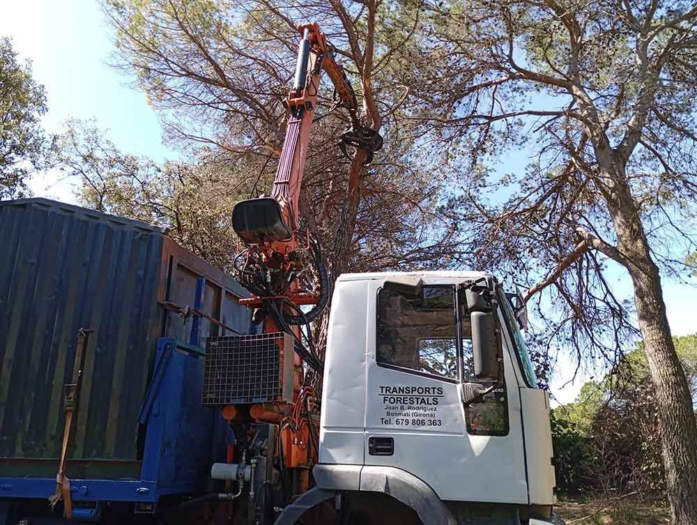 Un camión con una grúa acoplada está aparcado al lado de un árbol.