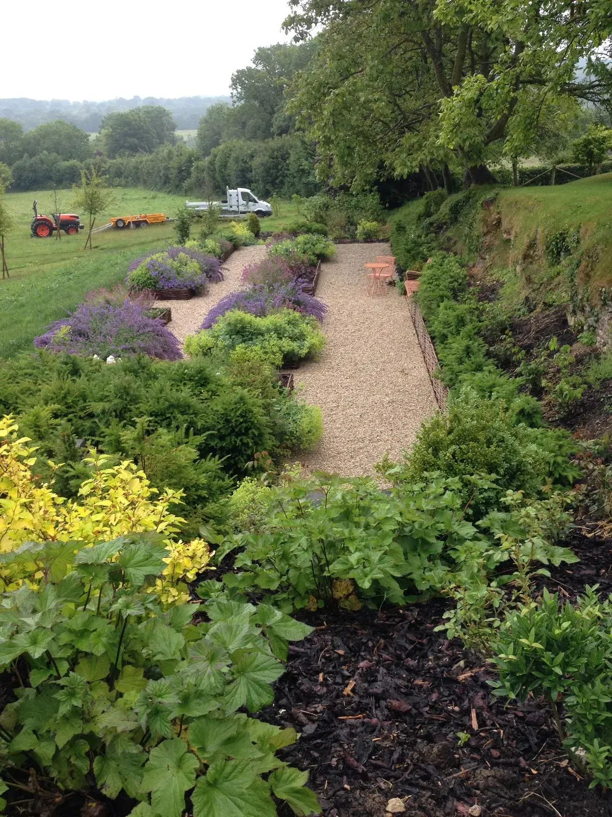 Un jardin avec beaucoup de végétation