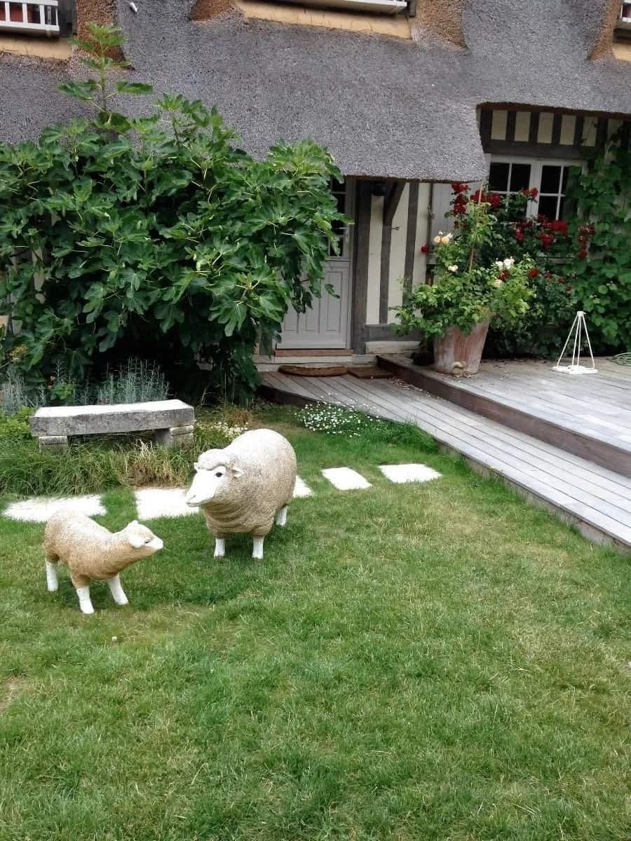 Entretien de jardin et terrasse en bois