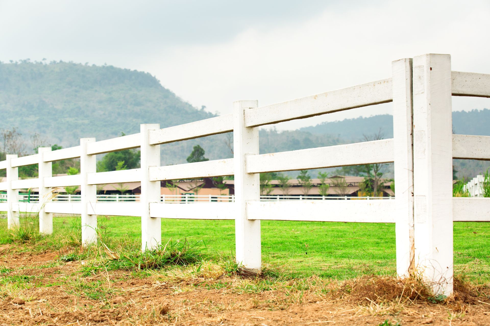 Clôture normande blanche