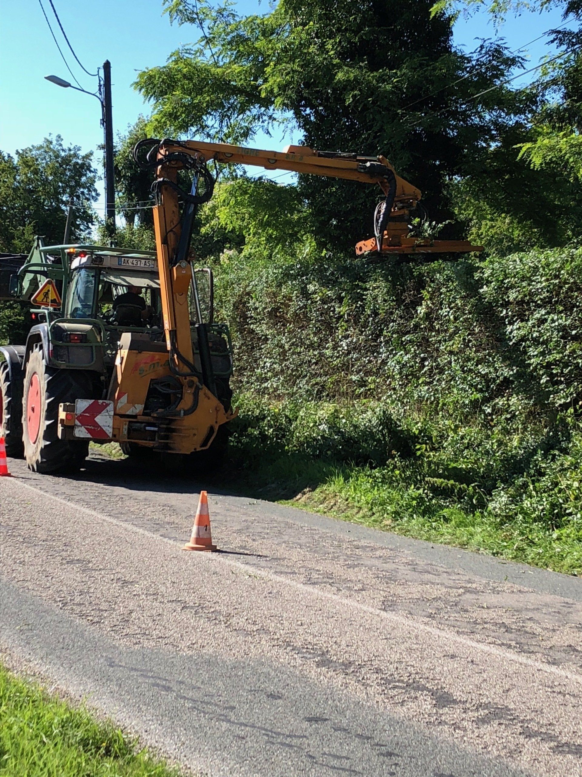 Abattage d'arbre dangereux