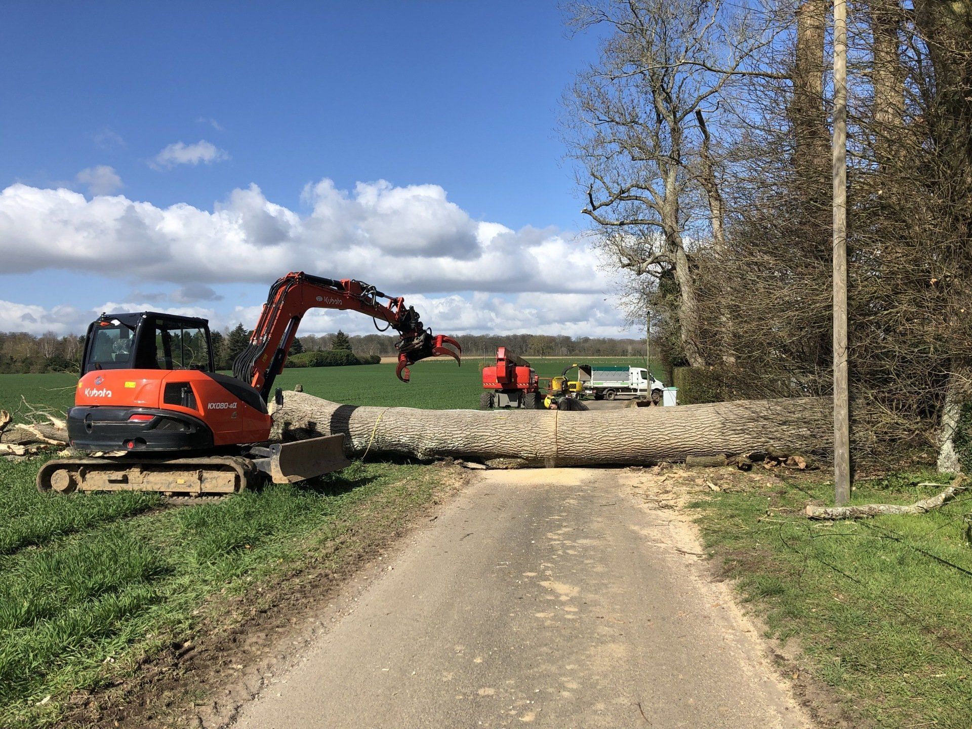 Abattage d'arbre réalisé