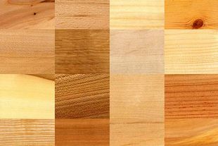 Sortiment verschiedener Holzmaserungen und -farben, von hell bis dunkel.