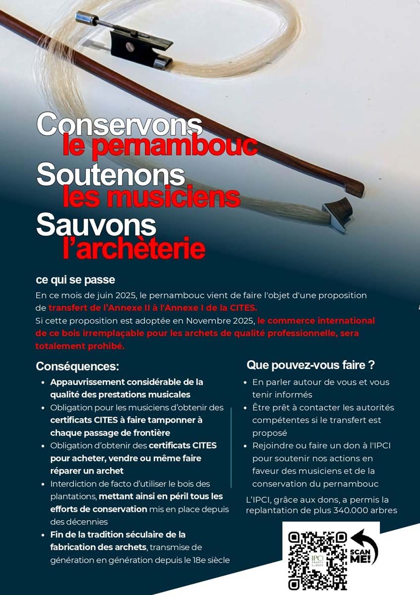 Flyer actions pernambouc