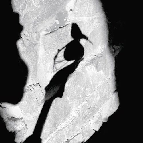 Ombre d'un oiseau sur une tête de violoncelle