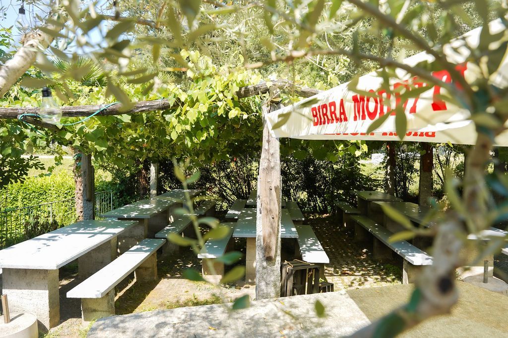 Area picnic all'aperto con panchine sotto alberi frondosi e un gazebo bianco con scritte rosse.