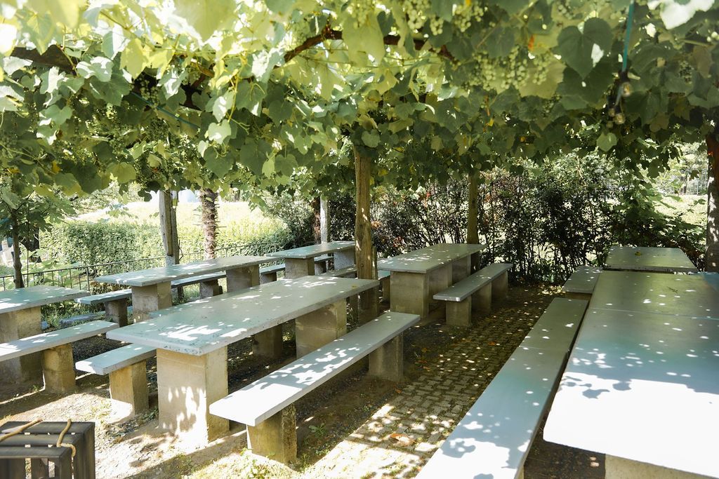 Tavoli da picnic all'aperto ombreggiati sotto rampicanti frondosi in un'area del giardino