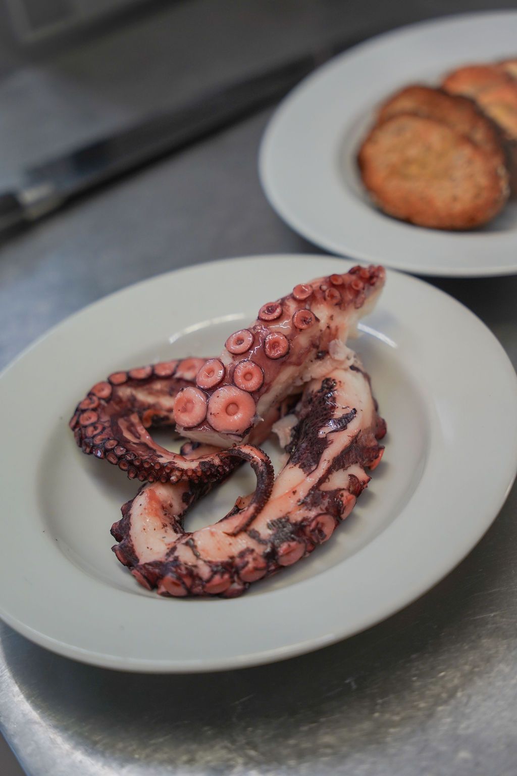 Tentacolo di polpo cotto su un piatto bianco, con un altro piatto sullo sfondo sfocato.