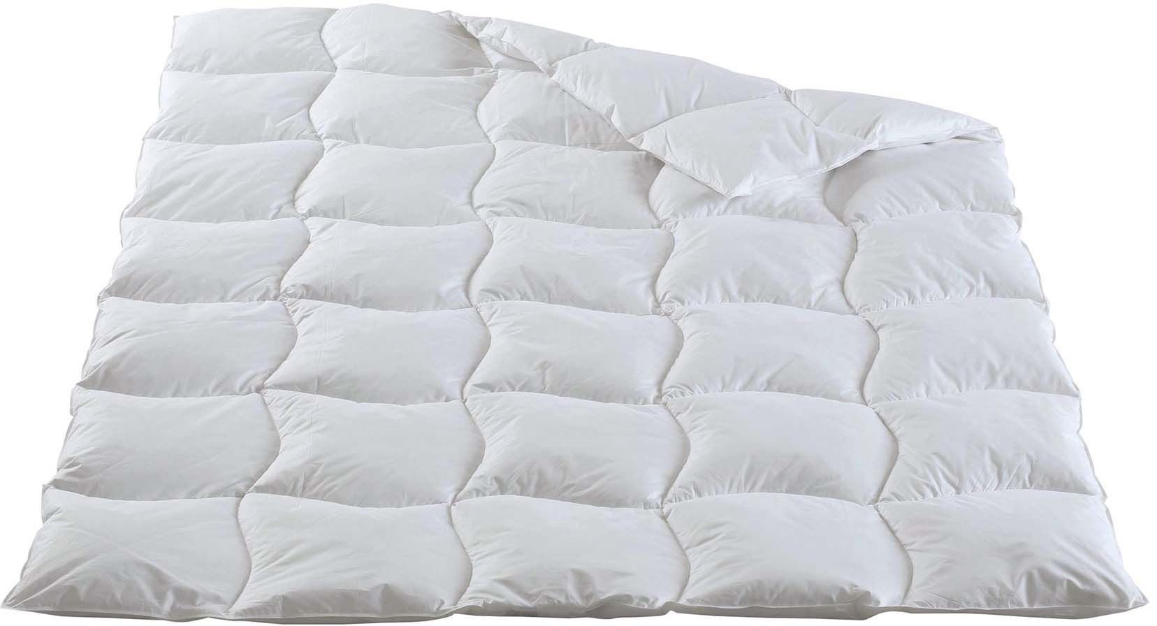 Duvet pour toute l'année CAMELIA PRO Dorbena Au Logis Ameublements