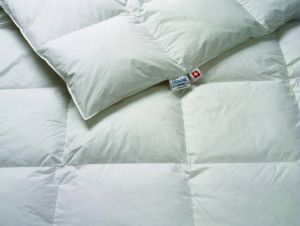 Duvet de canard Cassetta ALESSIA Cassetta Kyburz