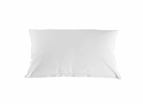 Oreiller Master Classic Fibre Bico Au Logis Ameublements