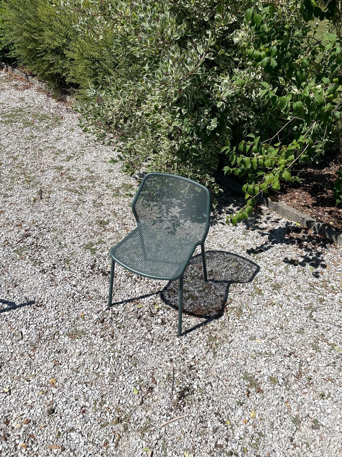 Chaise Darwin Emu Au Logis Ameublements