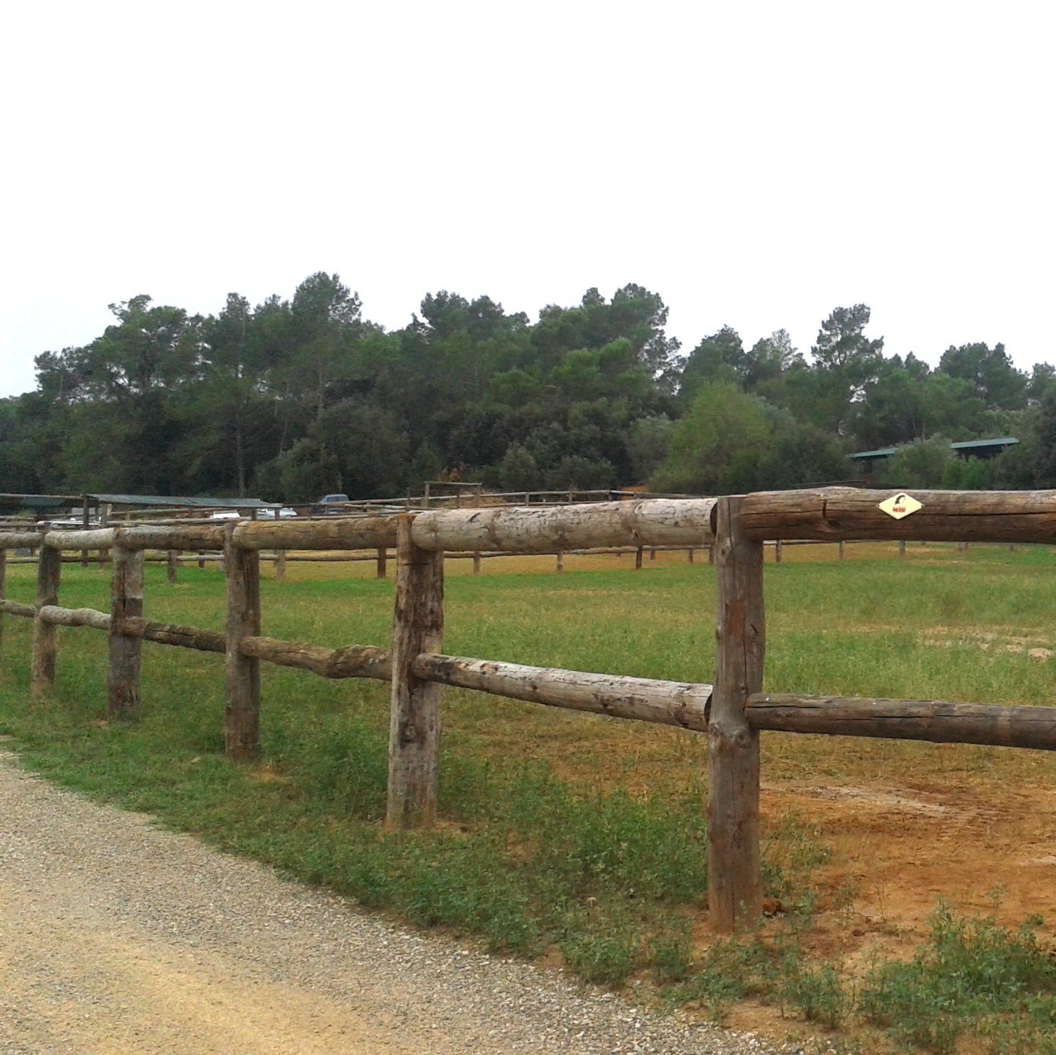 Una valla de madera rodea un campo de hierba con árboles al fondo.