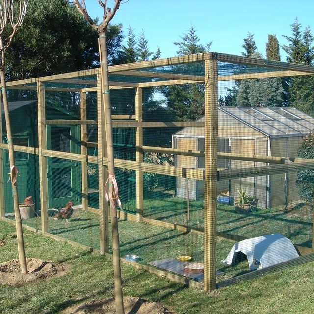 Un gallinero con un invernadero al fondo