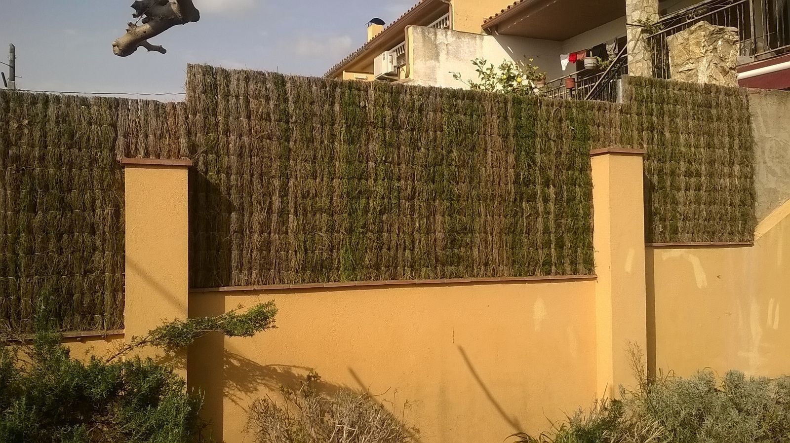 Un pájaro está volando sobre una valla delante de una casa.