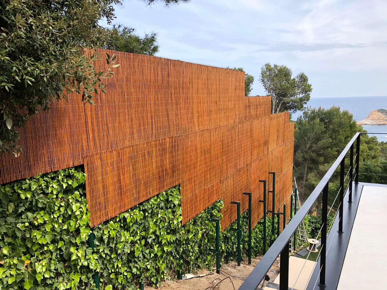 Una valla de madera con hiedra creciendo en ella.