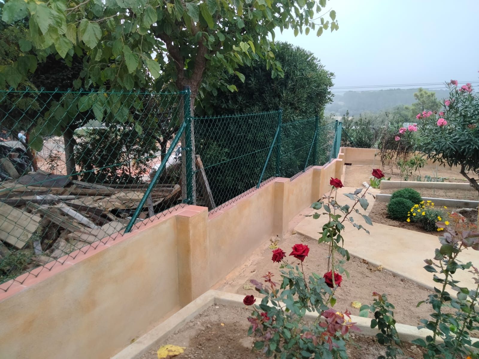 Un jardín con rosas y una valla de alambre