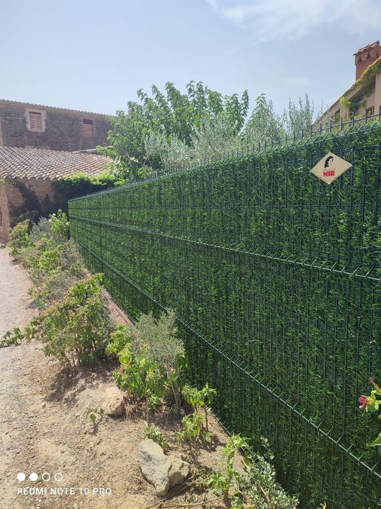 Un seto verde está rodeado de árboles y arbustos en un jardín.
