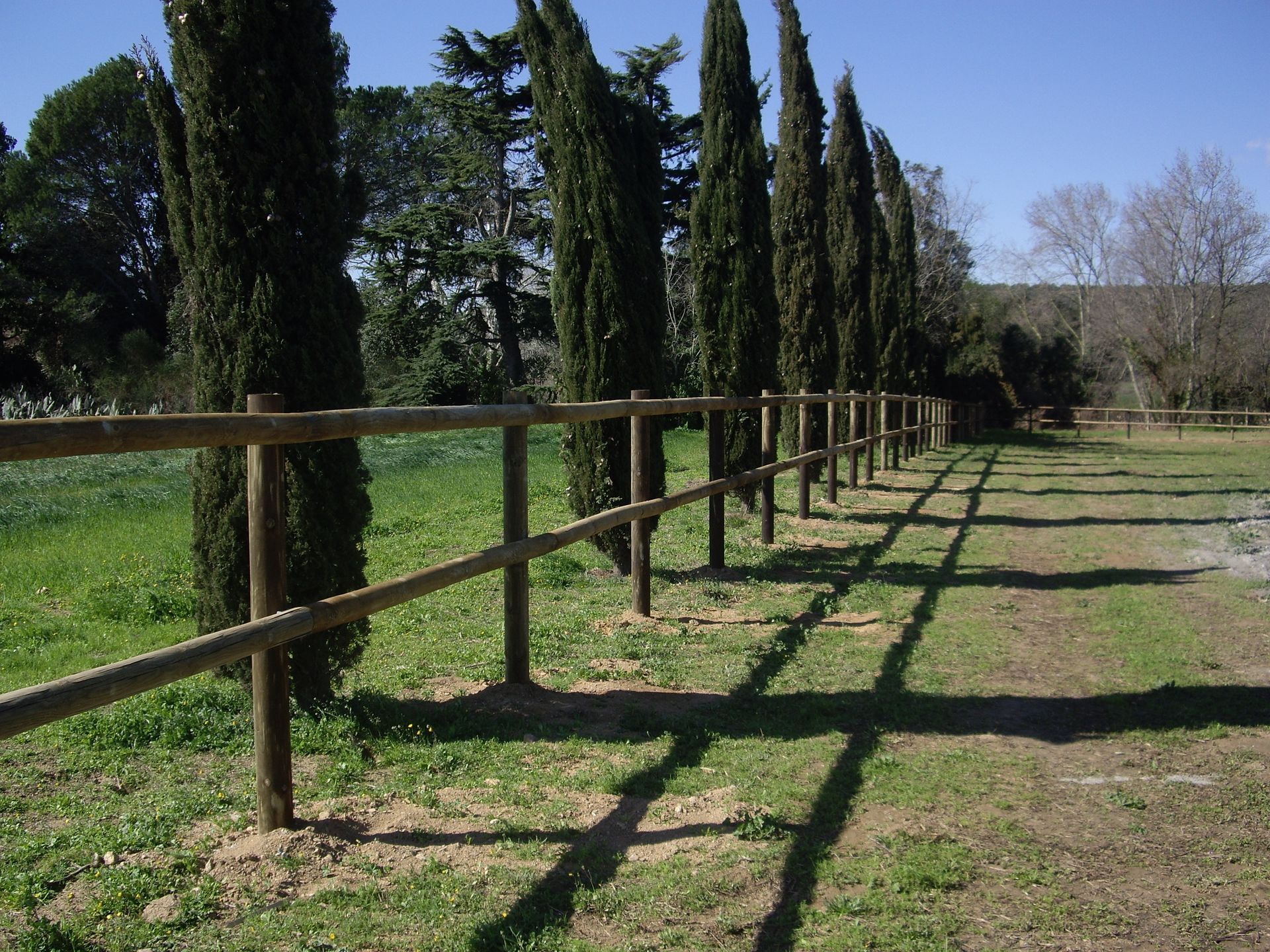 Una valla de madera rodea un campo de hierba con árboles al fondo.