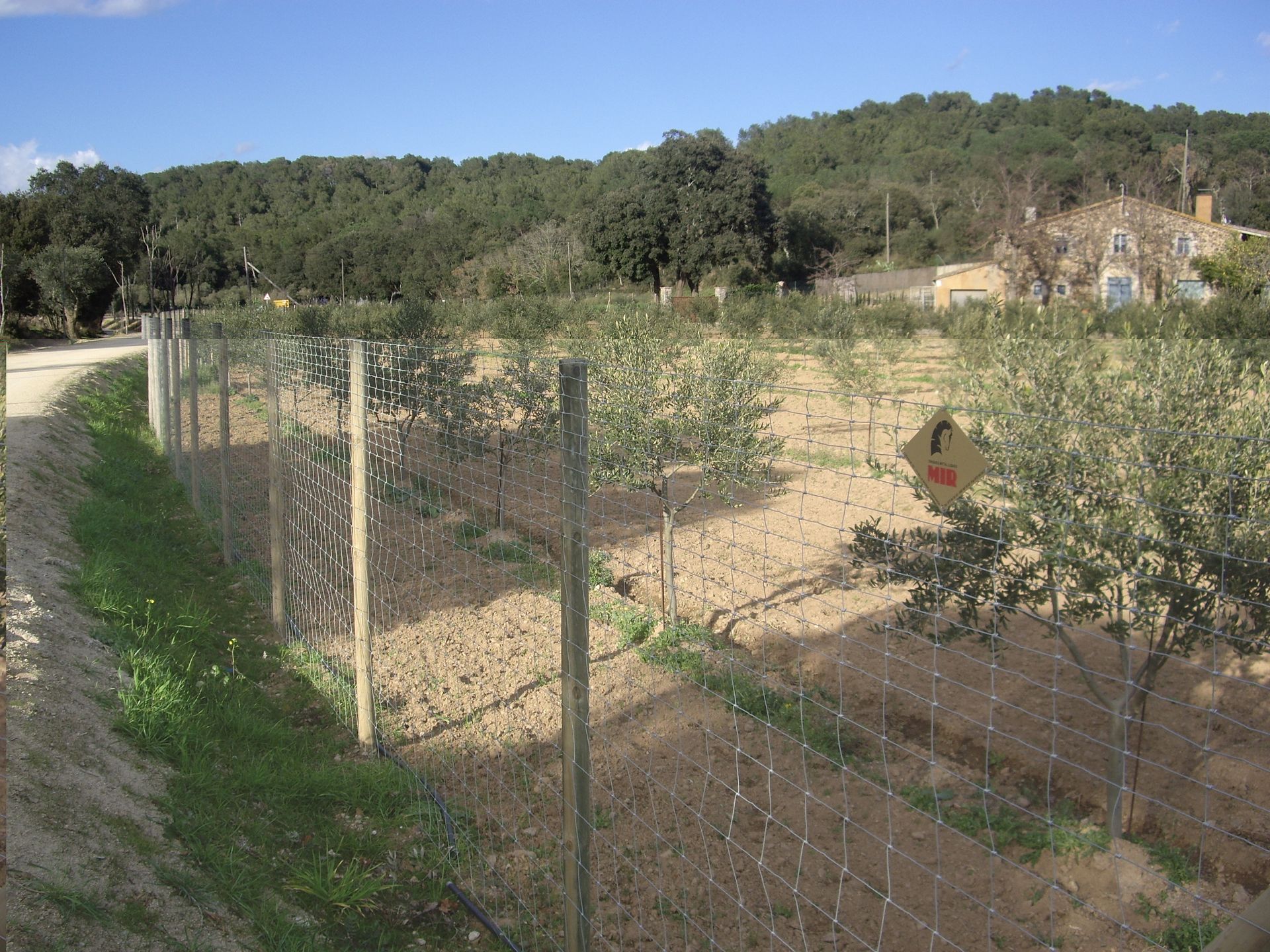 Una valla de alambre rodea un exuberante campo verde