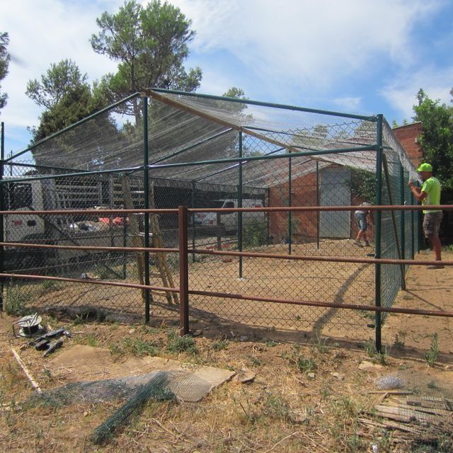 Un hombre con un sombrero verde se encuentra frente a una valla de alambre.